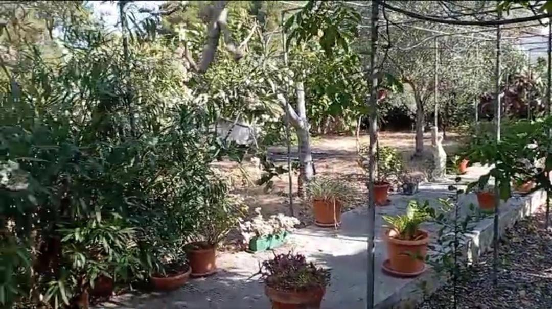 Casa Vacanze Il Carrubo Leporano Ngoại thất bức ảnh